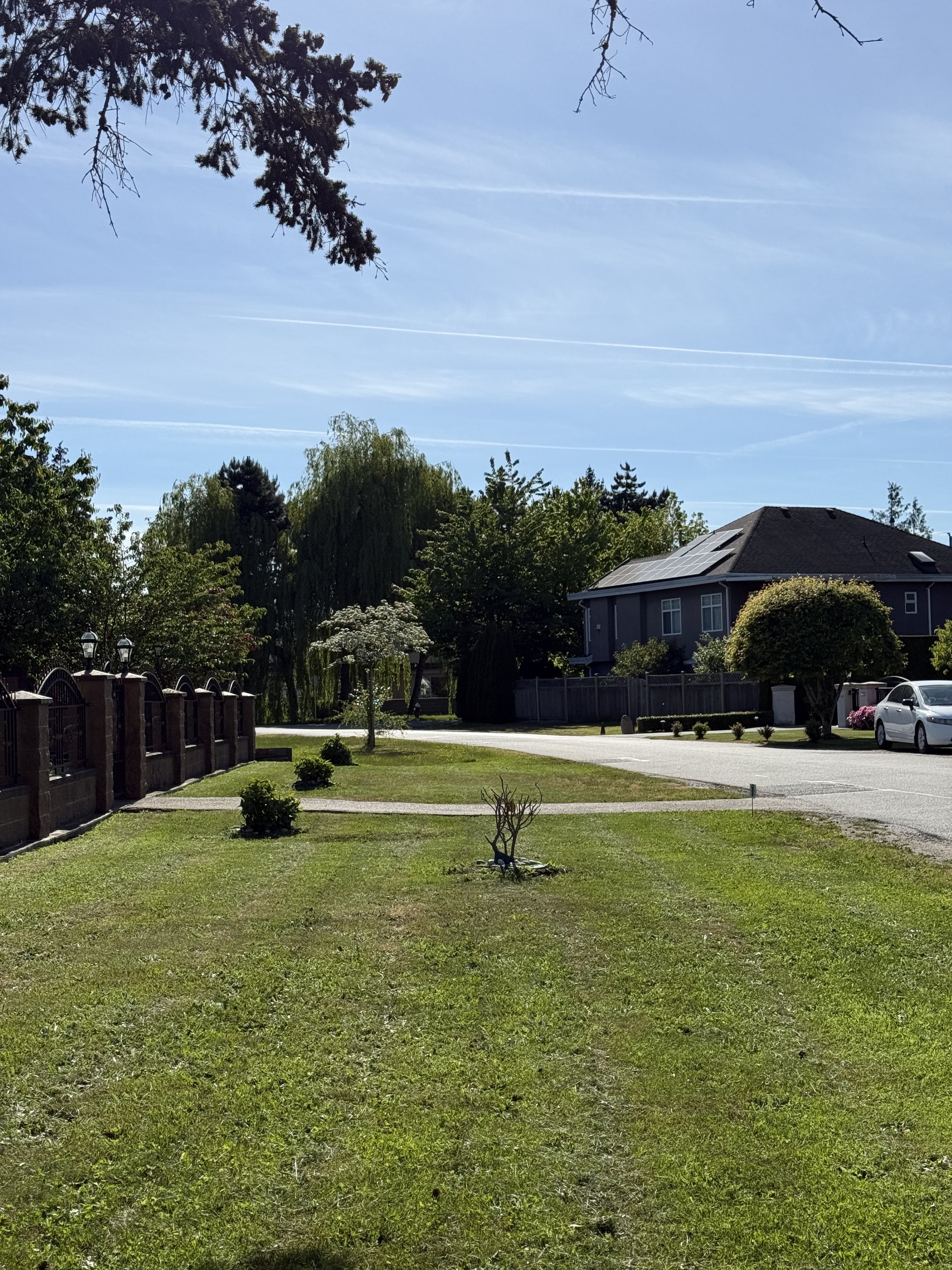 Lawn after mowing