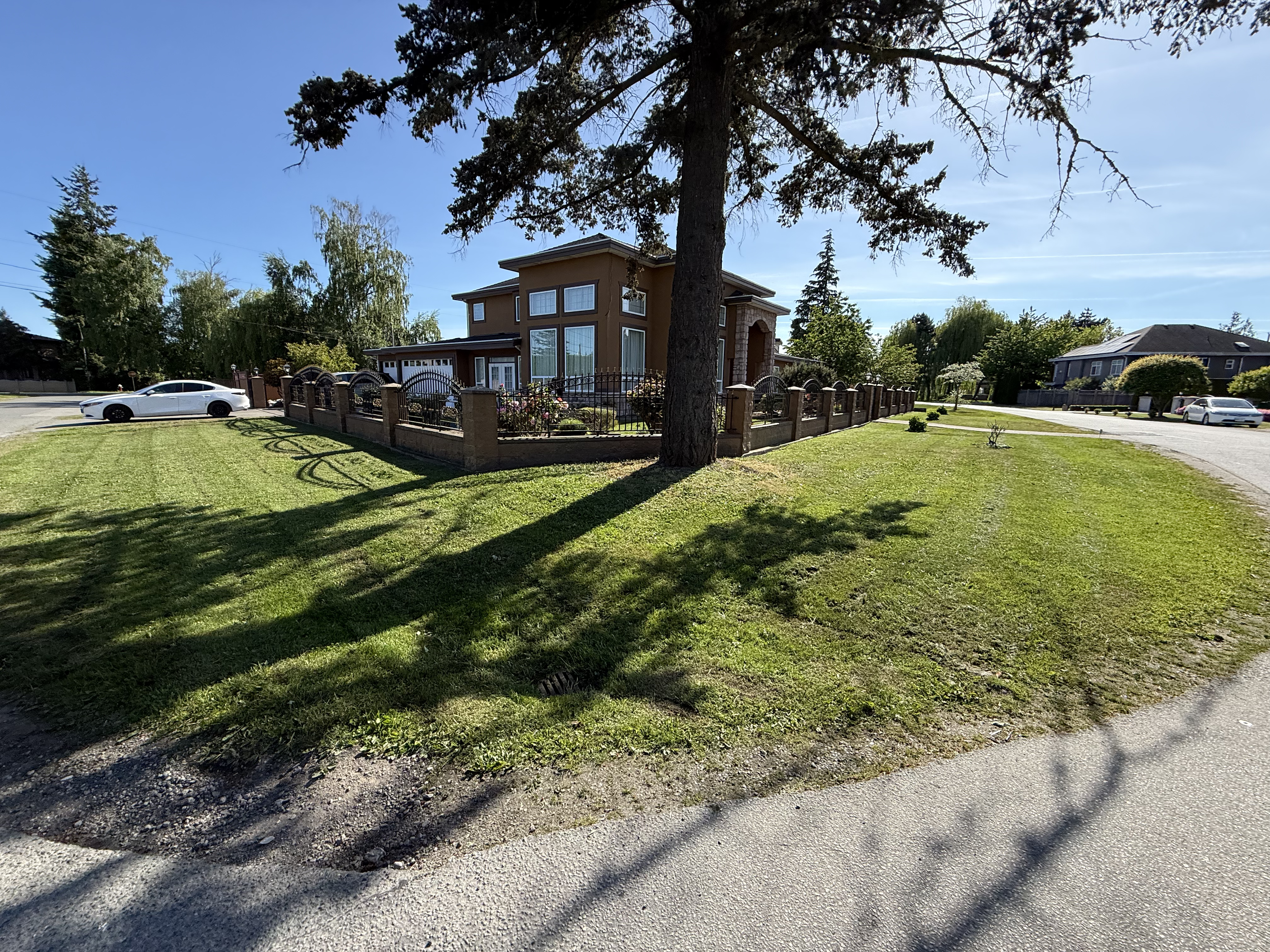 Lawn after mowing